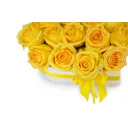 Květinový box růží